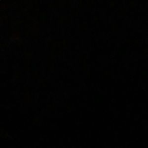 Meet your Posher, Jerry